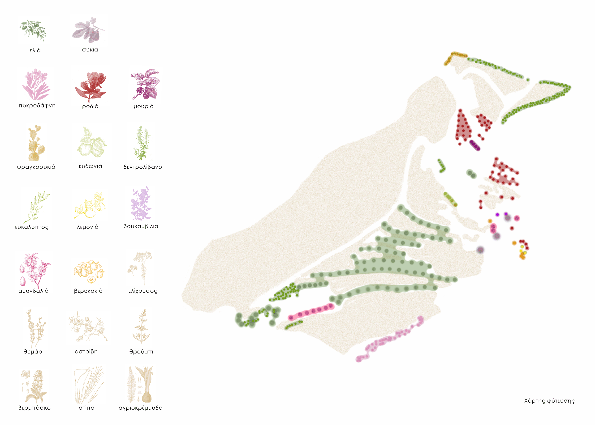 260605_KYTH_es_vegetation-plan-w